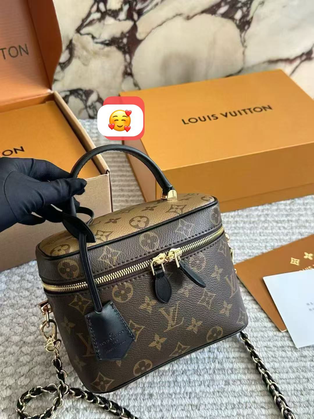 Luxury Monogram Vanity Case Bag